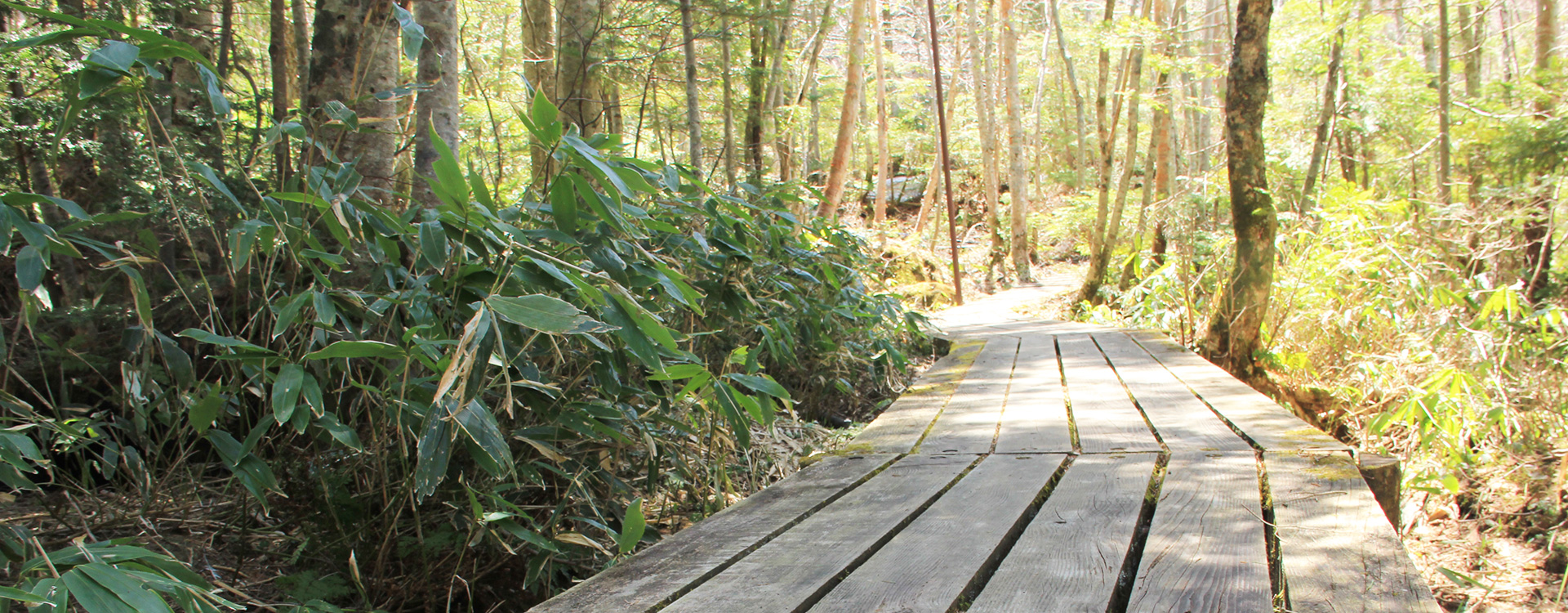 スライダー写真